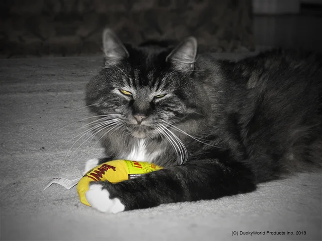 Spielbanane für Katzen mit Katzenminze, 17,7 cm – Yeowww! Chicata Banana – Bild 3