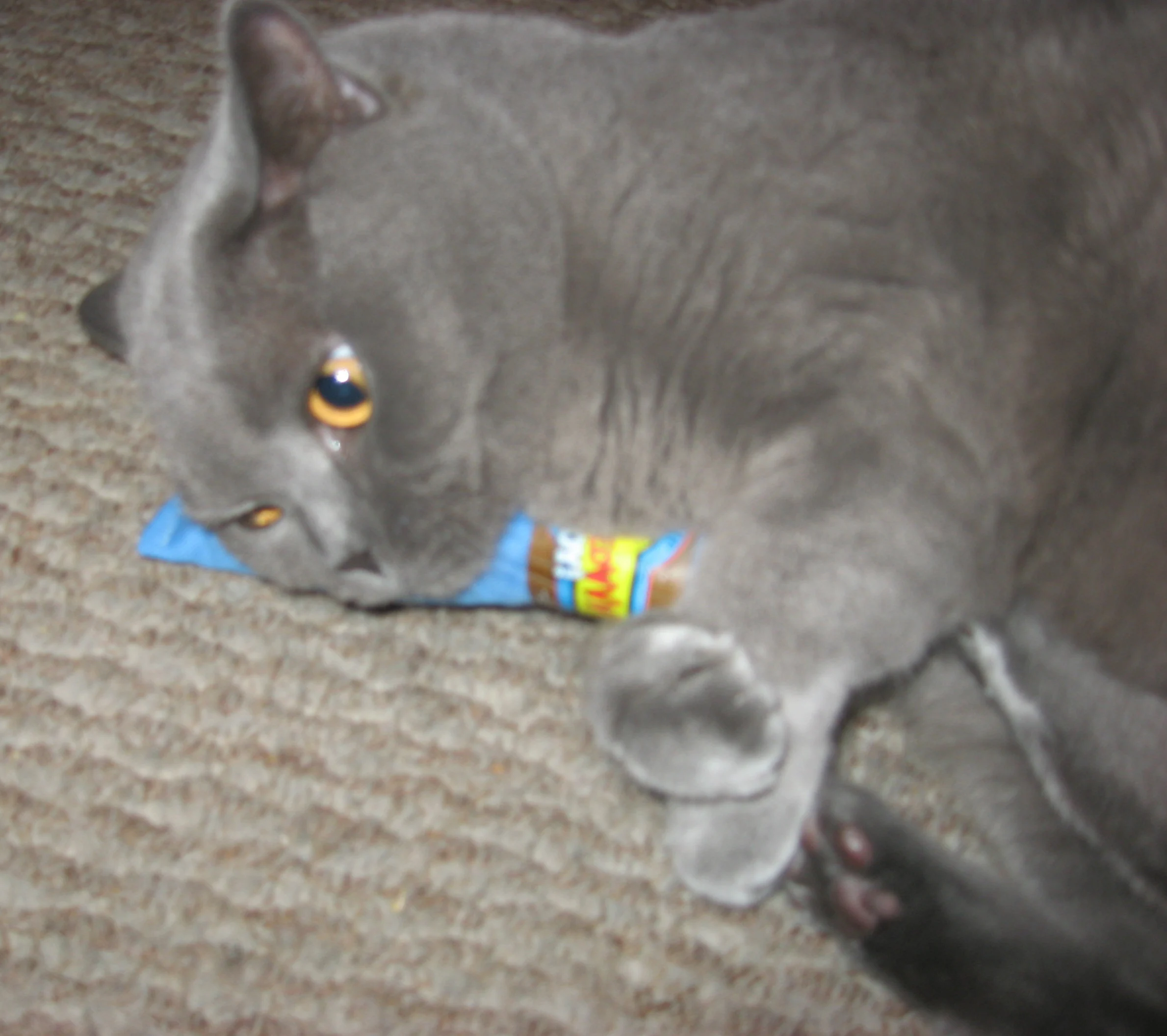 Spielzigarre für Katzen mit Katzenminze, Blau, 18 cm – Yeowww! Cigar – Bild 2