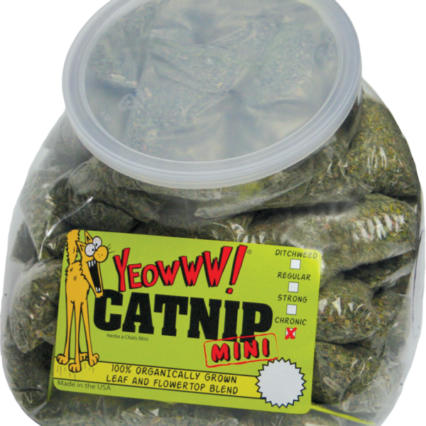 Beutel mit Katzenminze, 50 x 4 g – Yeowww! Minis