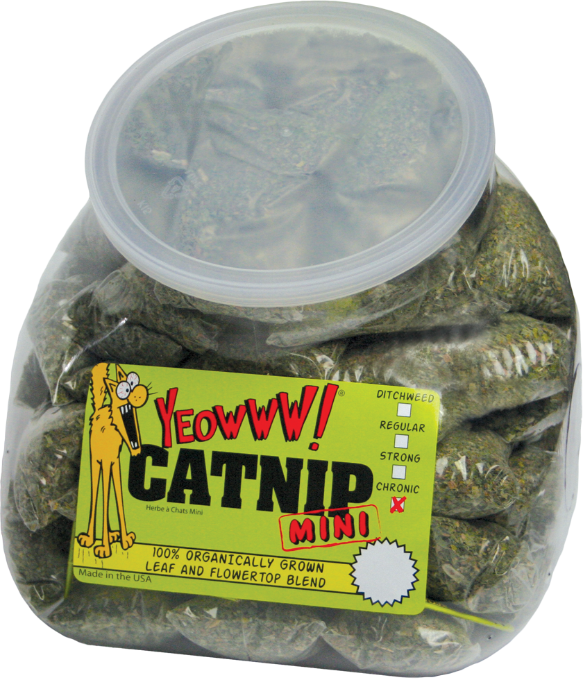 Kattenkruidzakjes, 50 x 4 g – Yeowww! Minis Beutel mit Katzenminze, 50 x 4 g – Yeowww! Minis