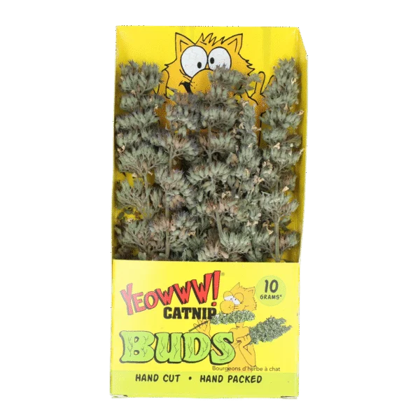 Katzenminzestängel 10 g im wiederverschließbaren Beutel – Yeowww! Catnip Buds