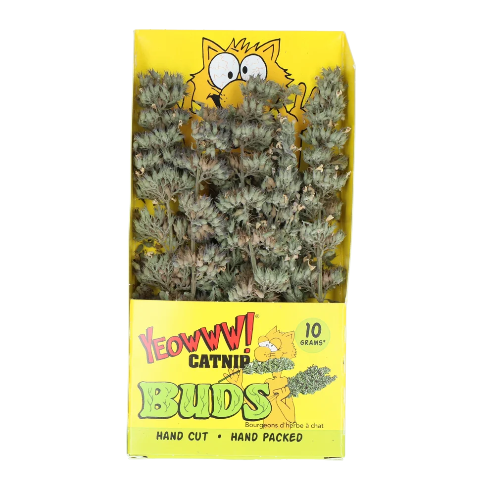 YEOW047.png Katzenminzestängel 10 g im wiederverschließbaren Beutel – Yeowww! Catnip Buds – Bild 1