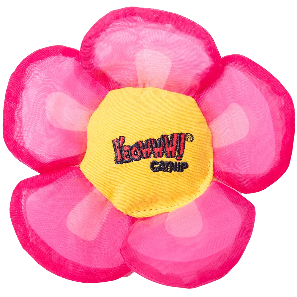 YEOW060B.png Spielblume für Katzen mit Katzenminze und knisternden Blütenblättern, Rosa – Yeowww! Daisy's Flower Tops – Bild 1