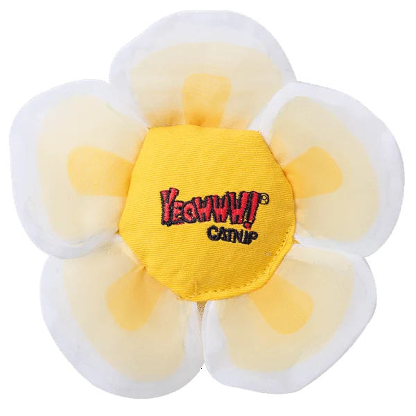 Katzenspielblume mit Katzenminze und Knisterblättern, Weiß – Yeowww! Daisy's Flower Tops