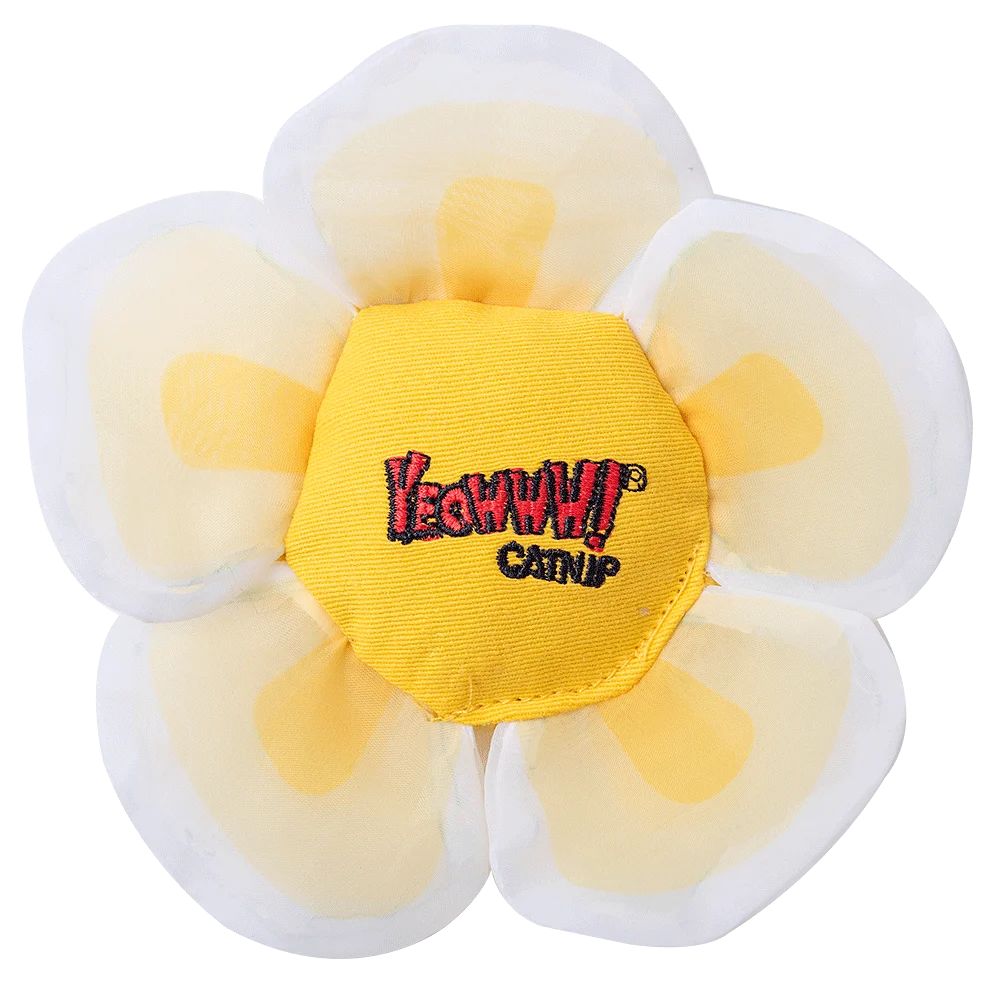 Katzenspielblume mit Katzenminze und Knisterblättern, Weiß – Yeowww! Daisy's Flower Tops – Bild 1