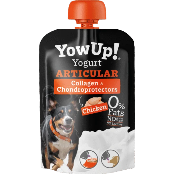 Joghurt Ergänzungsfuttermittel für Hunde mit Huhn und Kollagen – YowUp! Yogurt Dogs Articular Chicken