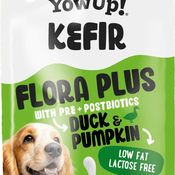 Kefir Snack für Hunde mit Ente und Kürbis – YowUp! Kefir