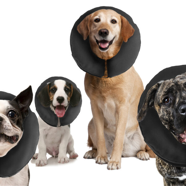 Schutzkragen für Hunde XXL, waschbar, >55,9 cm – Zenpet ProCollar