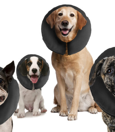 Schutzkragen für Hunde XXL, waschbar, >55,9 cm – Zenpet ProCollar