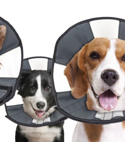 Waschbarer Schutzkragen, 20,3 bis 30,5 cm – Zenpet Procone S