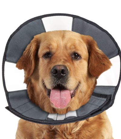 Waschbarer Schutzkragen, 45,7 bis 58,4 cm – Zenpet ProCone XL