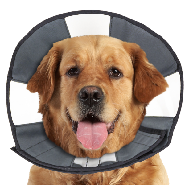 Waschbarer Schutzkragen, 45,7 bis 58,4 cm – Zenpet ProCone XL