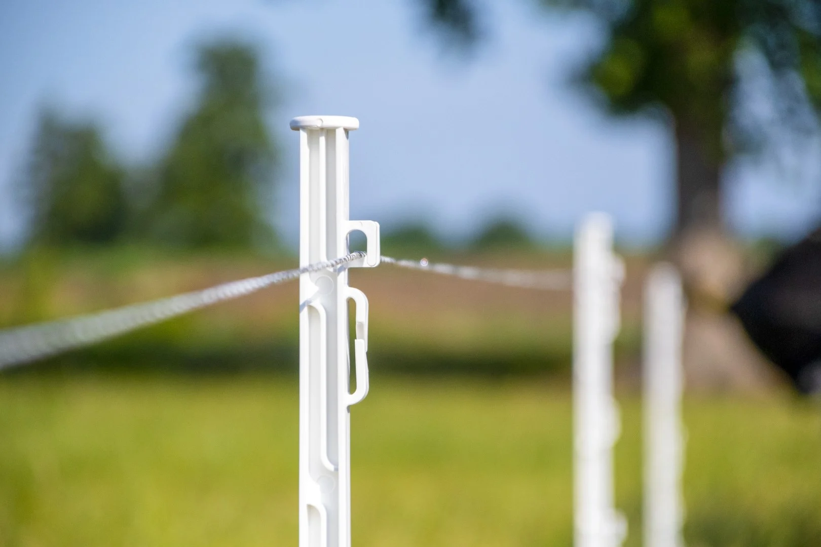 Weidezaunlitze 3 mm, Weiß mit Dunkelgrün, 400 m – ZoneGuard Plus – Bild 3