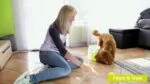 Belohnungsspielzeug für Hunde mit Tennisball und herausnehmbarem Futterfach – AFP Interactives Fetch'N'Treat 2nd Generation – Bild 4