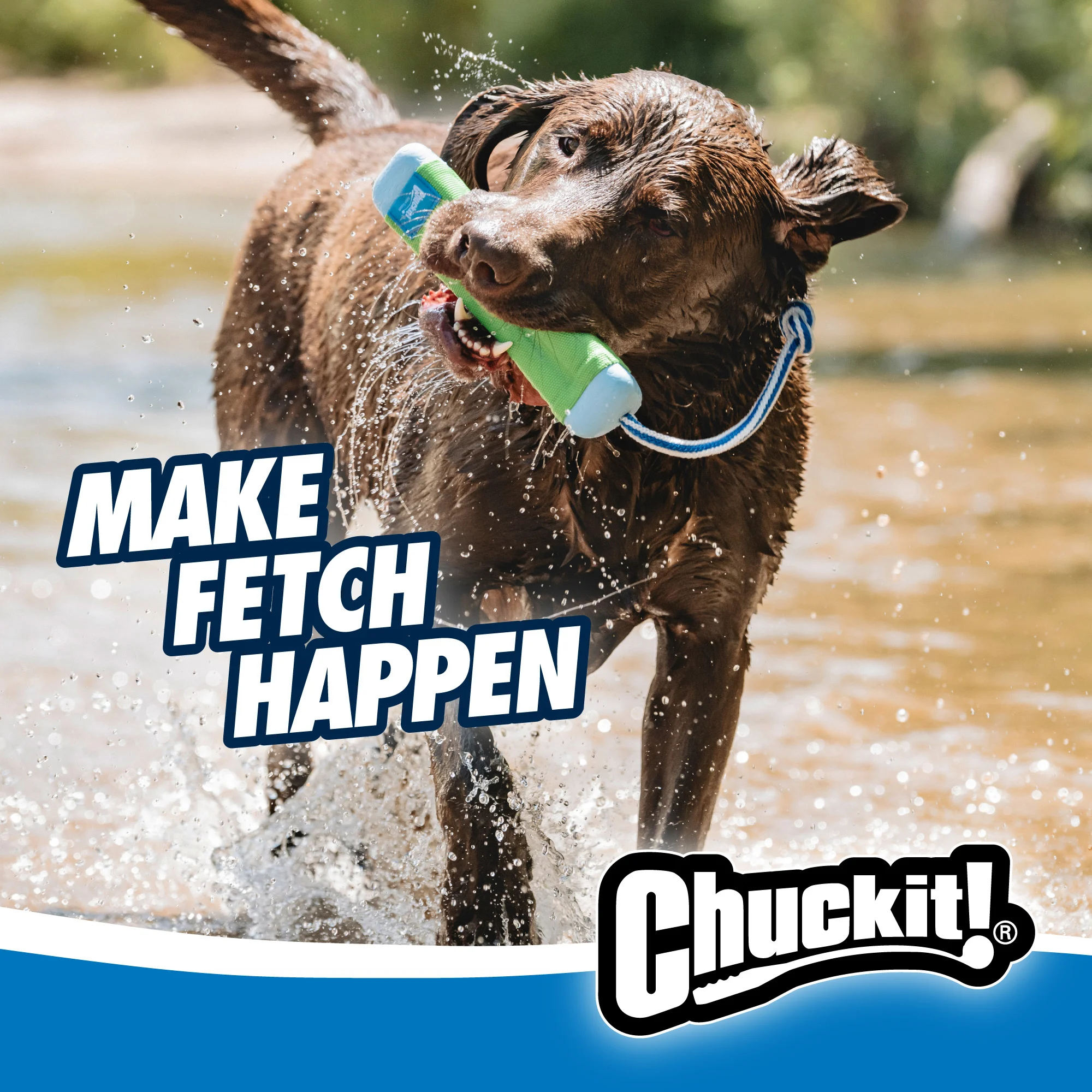 Apportierdummy mit Seil, schwimmfähig, ø 4 cm x 18 cm – Chuckit! Amphibious Bumper S – Bild 3