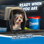 Hundeball Set mit Eimer und Ablauflöchern, 8 Bälle M – Chuckit! Bucket – Bild 4