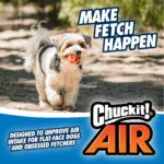 Apportierball für Hunde, schwimmend, Ø 6 cm, 2 Stück – Chuckit! Air Fetch Ball – Bild 6