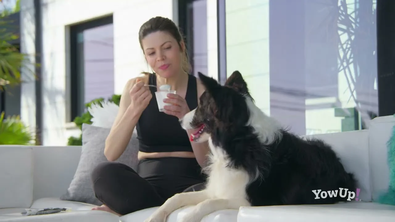 Joghurthergänzung für Hunde mit Lachs und Fischöl – YowUp! Yogurt Dogs Skin & Hair Salmon – Bild 3