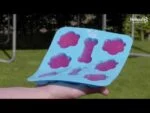 Form für 8 Hundeeisportionen – Coolpets Dog Ice Mix Tray – Bild 2