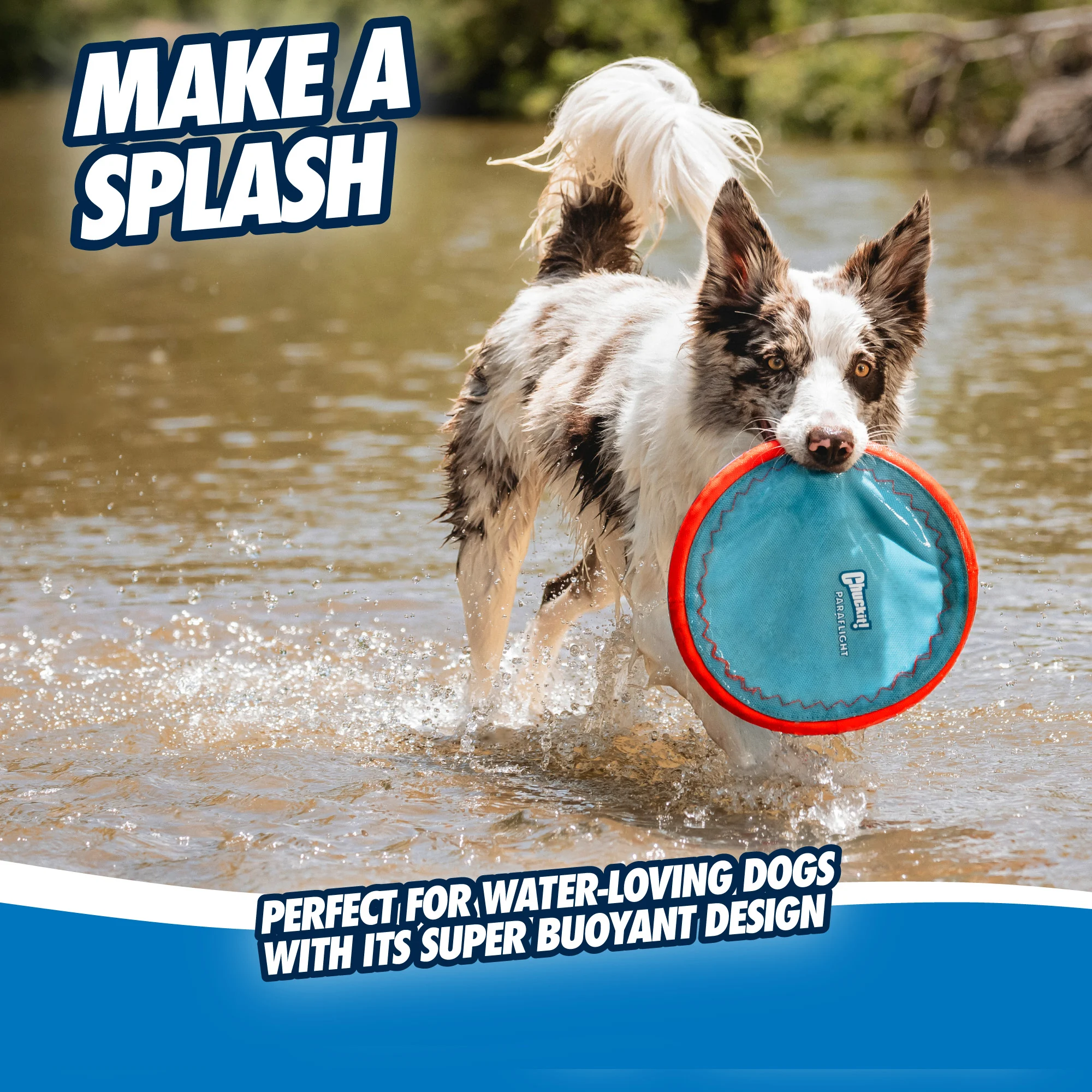 Hundefrisbee, schwimmfähig, Ø 25 cm – Chuckit! Paraflight L – Bild 4