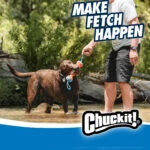 Apportierdummy aus Gummi, schwimmfähig, 20 cm – Chuckit! Rugged Bumper S – Bild 6