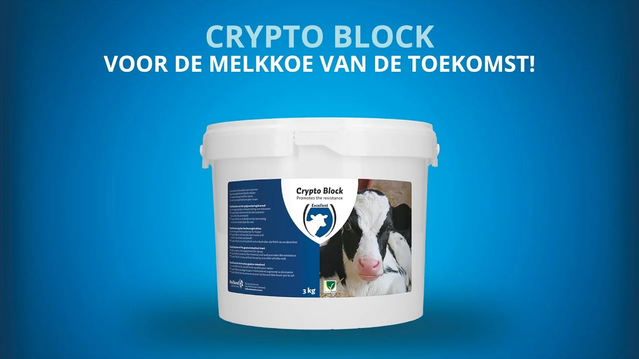 Ergänzungsfuttermittel für Kälber und Lämmer, 2,4 kg – Excellent Crypto Block – Bild 2