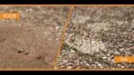 Ameisenpulver für den Außenbereich und gegen krabbelnde Insekten in Innenräumen, 250 g – Knock Pest – Bild 2