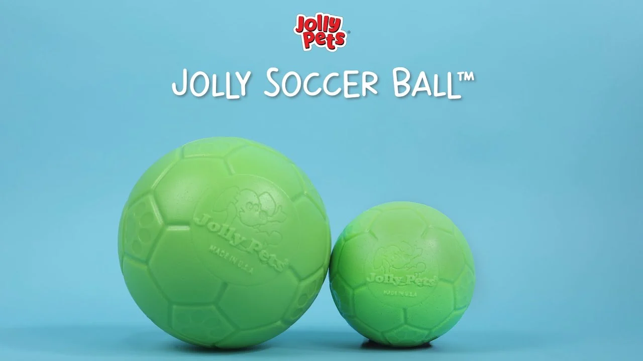 Hundeball zum Apportieren, orange und weiß, 15 cm – Jolly Pets Jolly Soccer Ball – Bild 3