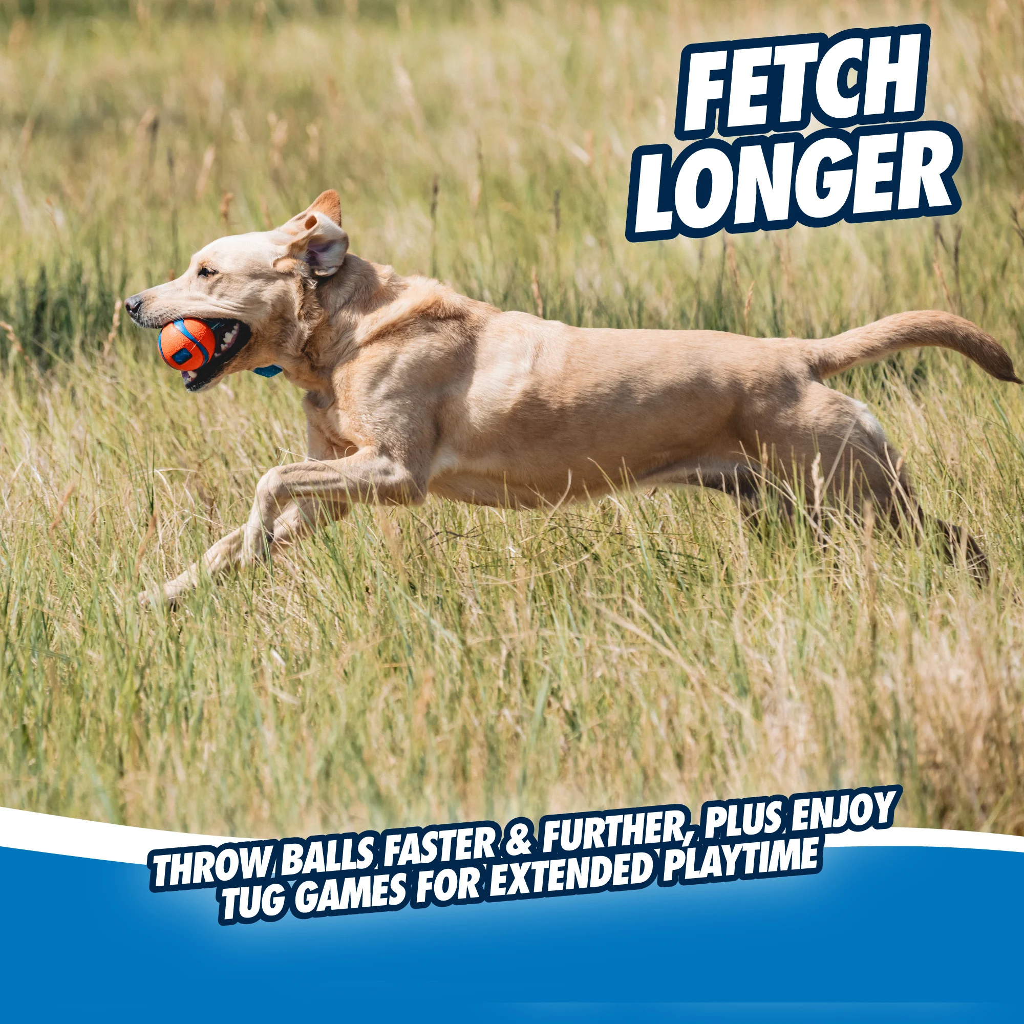 Zerrspielzeug für Hunde mit Tennisball und Band, ø 6 cm – Chuckit! Ultra Tug M – Bild 4