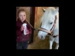 Entwirrspray für Pferdemähne und Schweif, 250 ml – Lucky Horse Unicorn Knuffel Spray – Bild 2